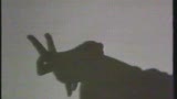 Prasana Raoul - Hand Shadows