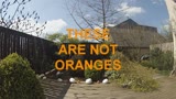 These are not oranges