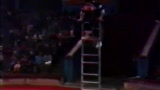 Ladder Clown Jugglers