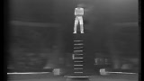 Gregory Popovich Circus performance