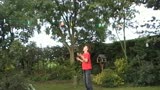 A little juggling Movie I made
