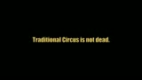 Traditional Circus Is Still Alive