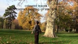 coloured leaves - contact juggling